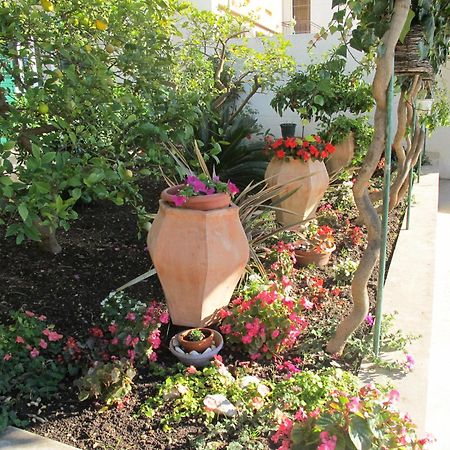 מאקרסקה Villa Rosa מראה חיצוני תמונה